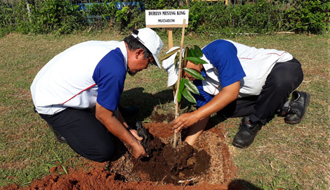 Tree-Planting activity in the Company's subsidiary in Indonesia