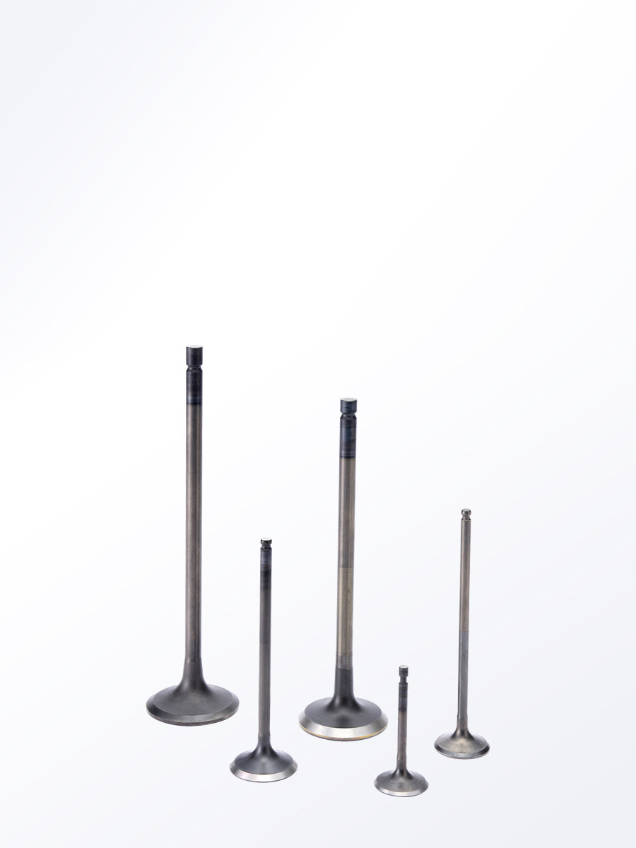 Product Information｜NITTAN Corporation