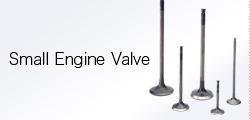 Small Engine Valves｜Nittan Valve Co., Ltd.