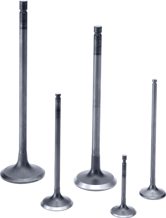 Small Engine Valve