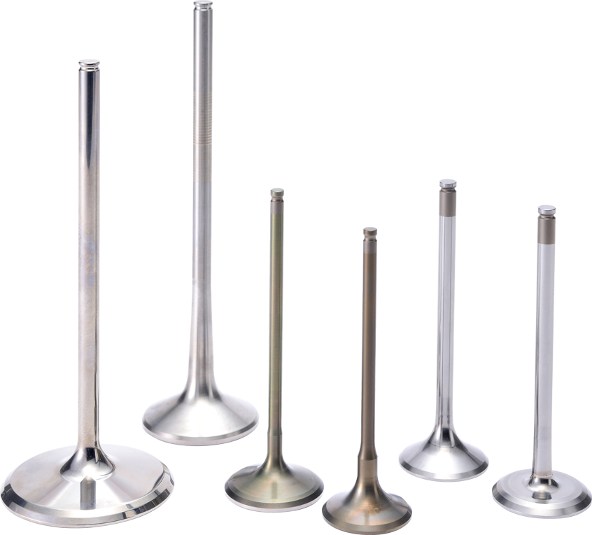 Engine Valve for Motor Sports