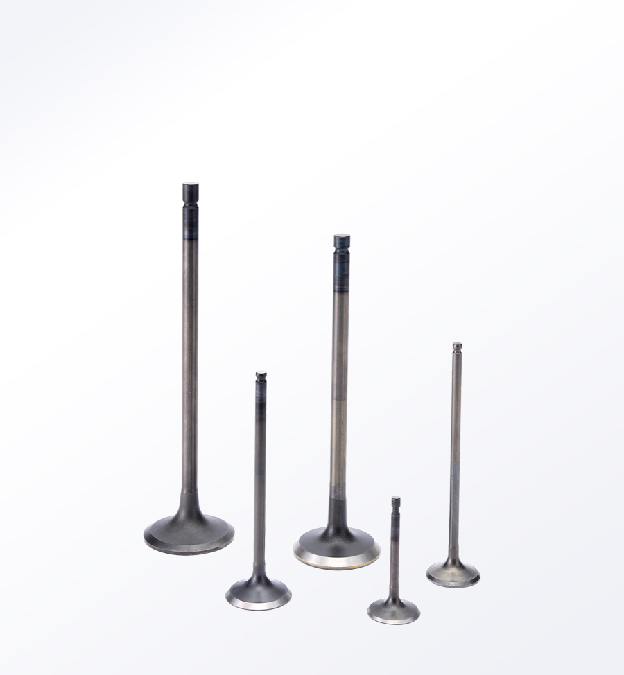 Small Engine Valve